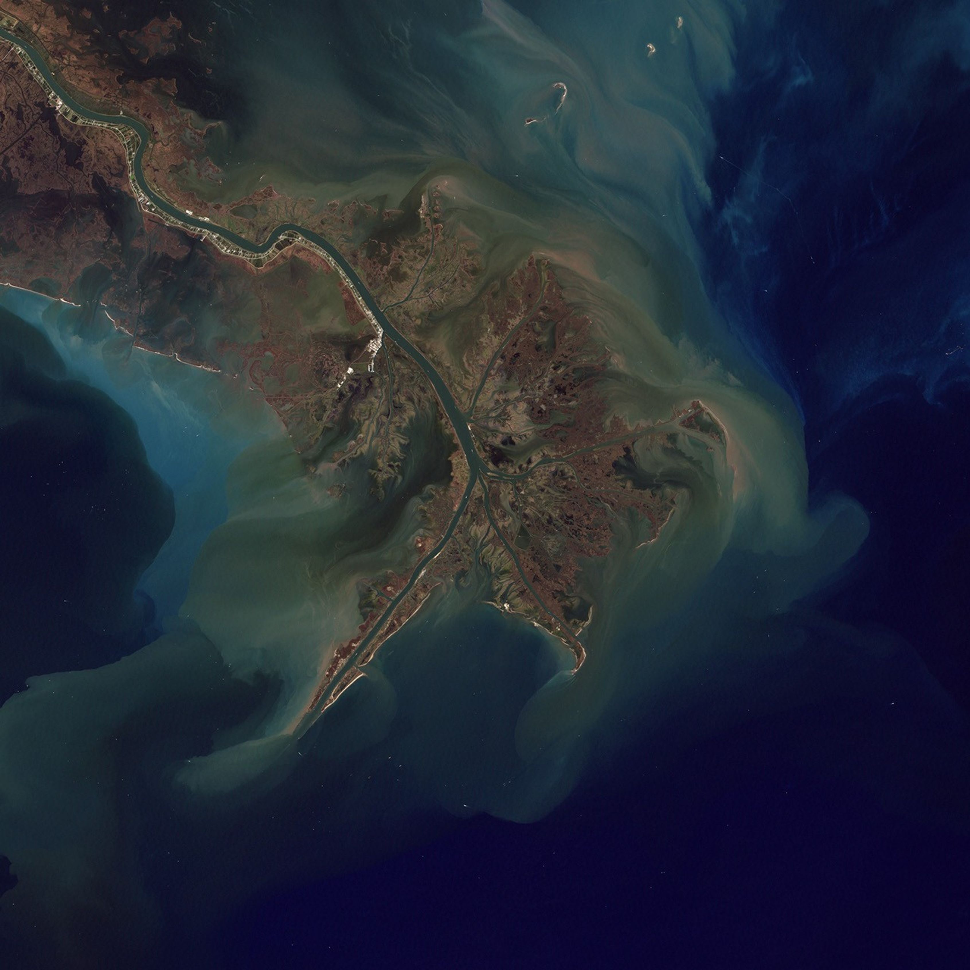 The Mississippi River's branching channels and sediment plume observed from space