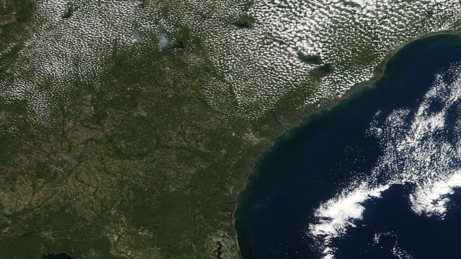 Georgia — NASA GIBS / Worldview