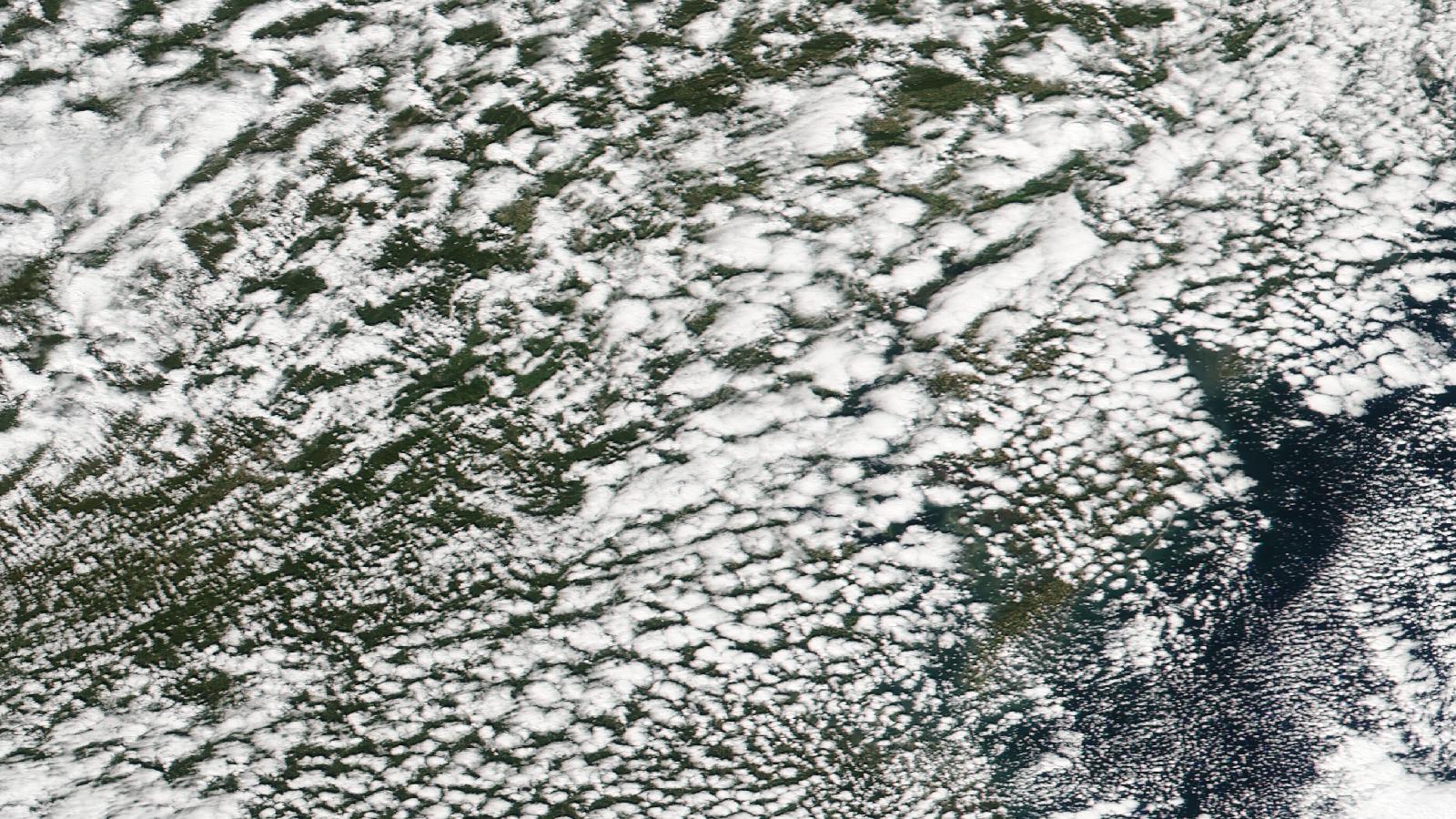 Maryland — NASA GIBS / Worldview