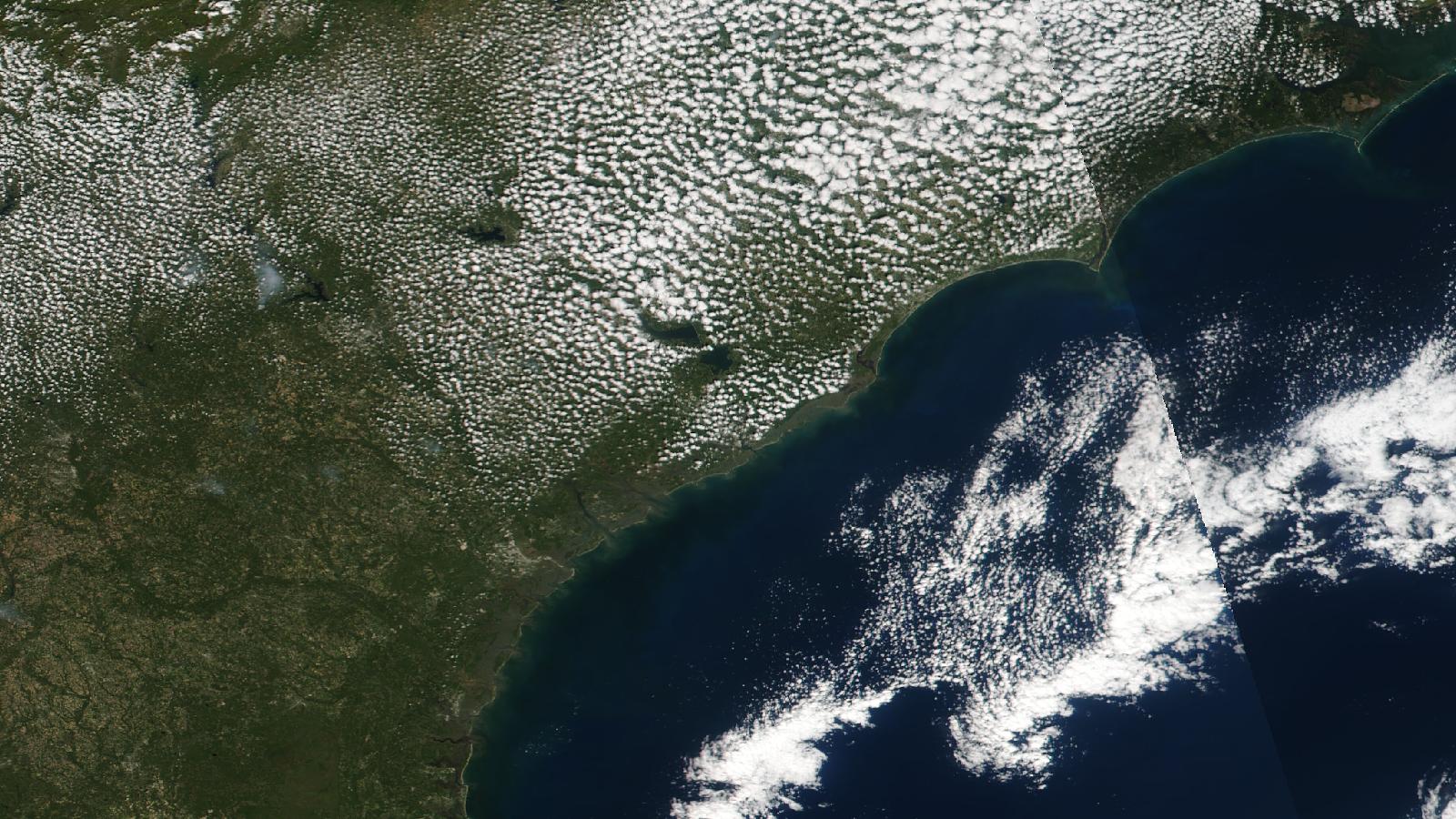 South Carolina — NASA GIBS / Worldview