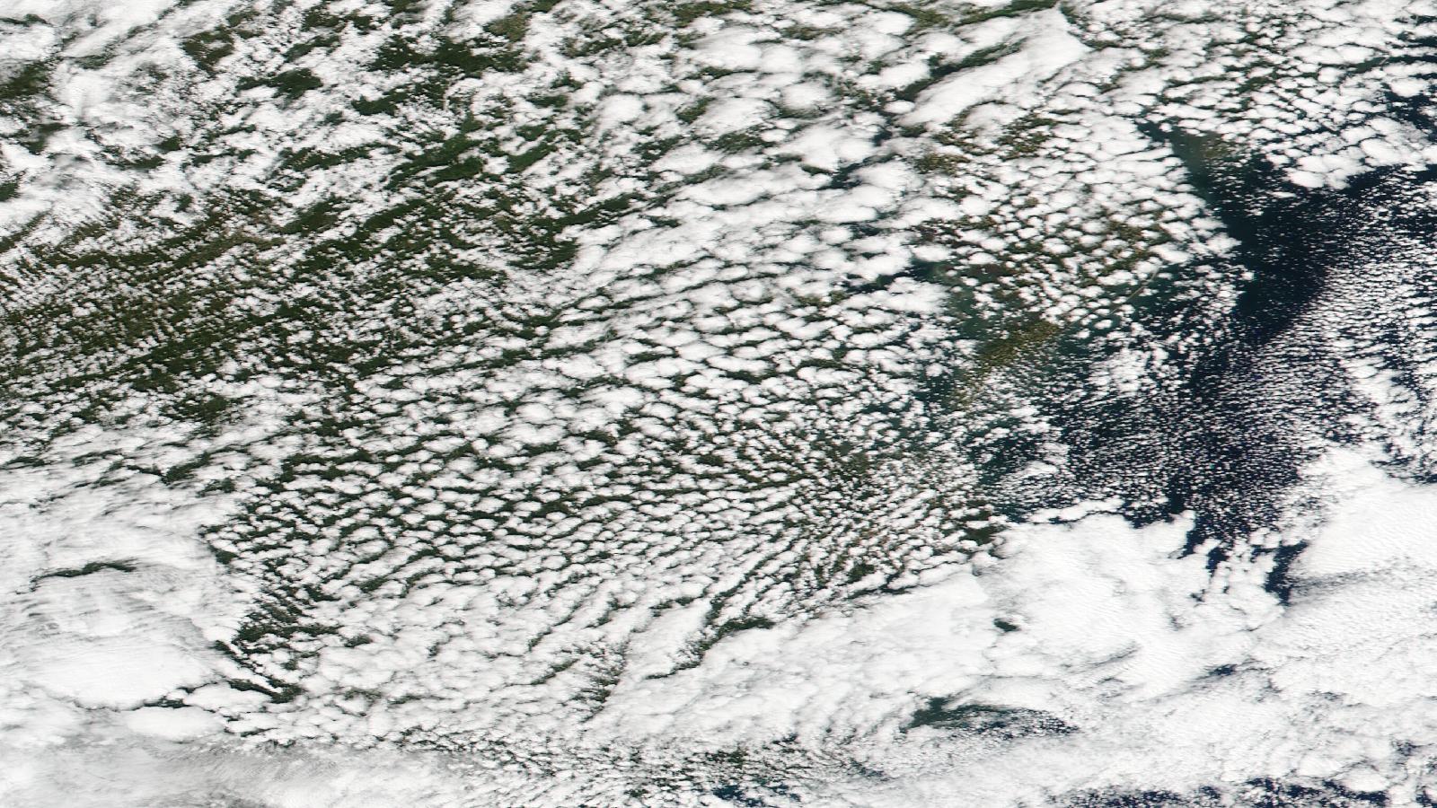 Virginia — NASA GIBS / Worldview