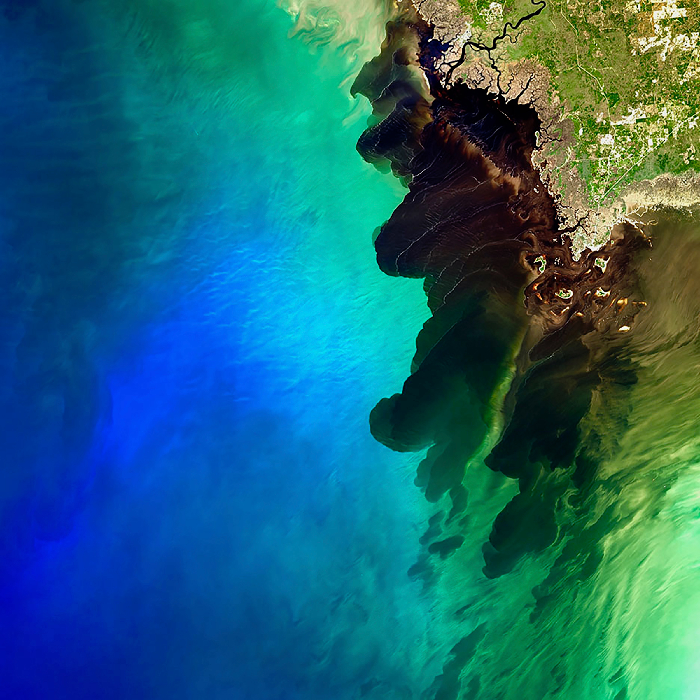 NASA Landsat image of the Suwannee River delta meeting the Gulf of Mexico