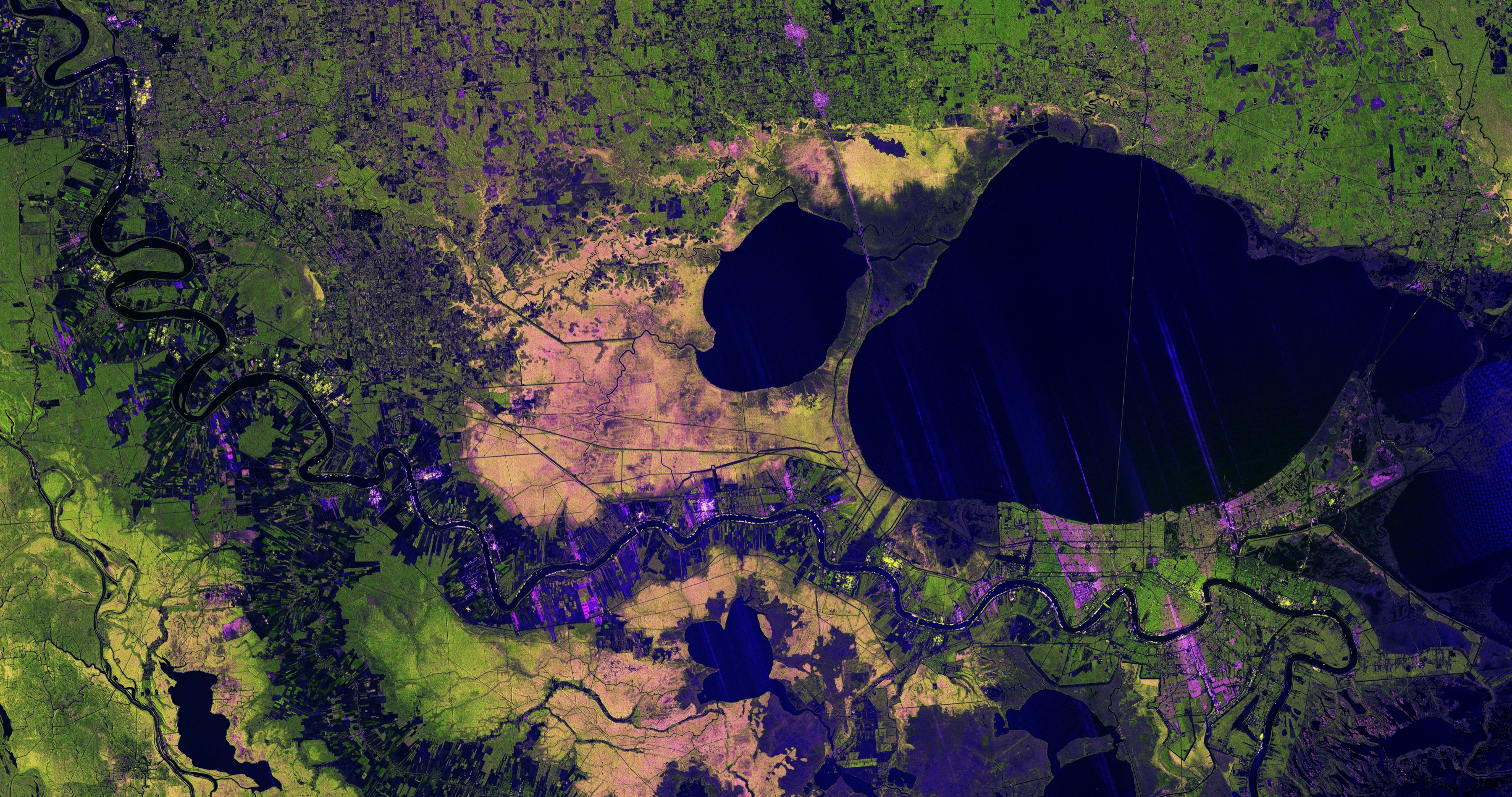 NISAR radar image showing the Mississippi River Delta and Louisiana wetlands